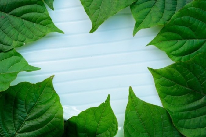 Kratom Strains to Try