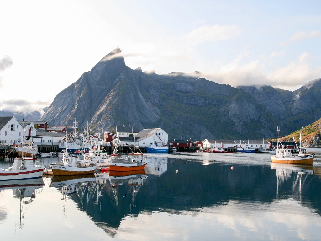 Events and Festivals That Bring Lofoten Islands in Norway to Life