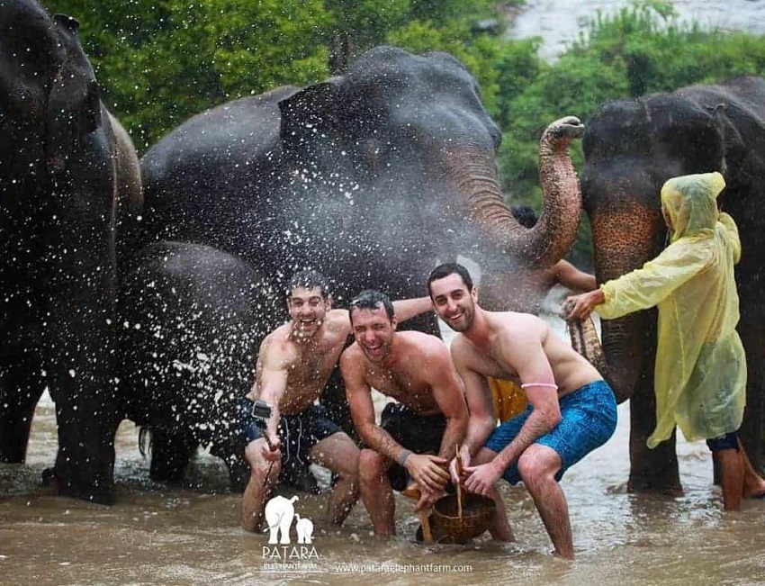 Exploring the Best Elephant Sanctuary in Thailand