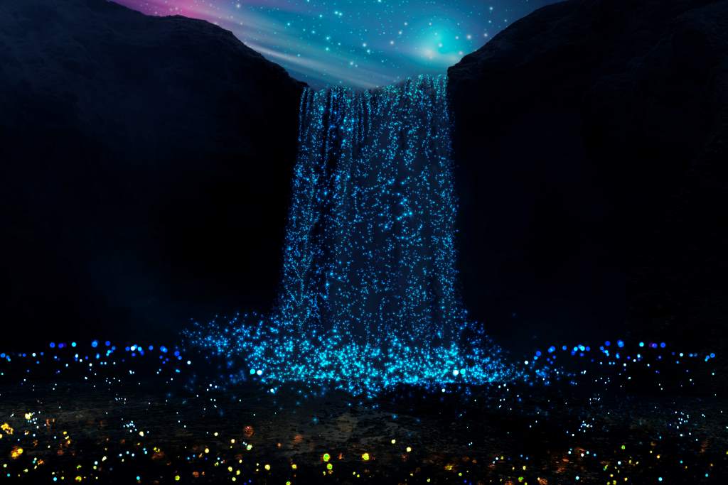 best places to see bioluminescence in Florida: The Everglades