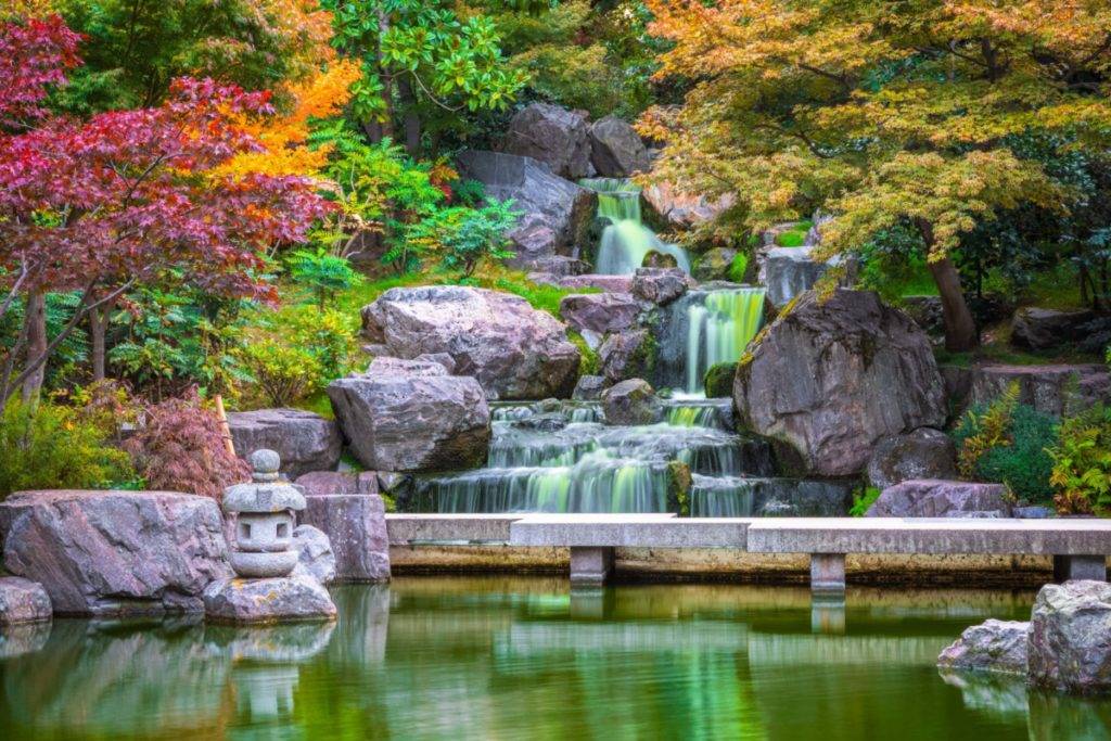 Tips for Visiting Kyoto Garden London